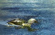 bruno liljefors simmande lom painting